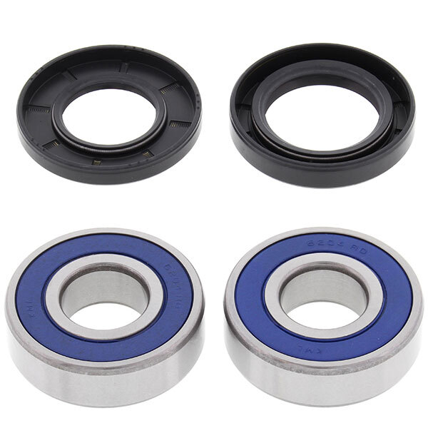 ALL BALLS WHEEL BEARING KIT (25 1647)