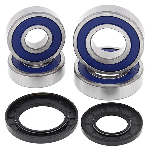 ALL BALLS WHEEL BEARING KIT (25 1694)