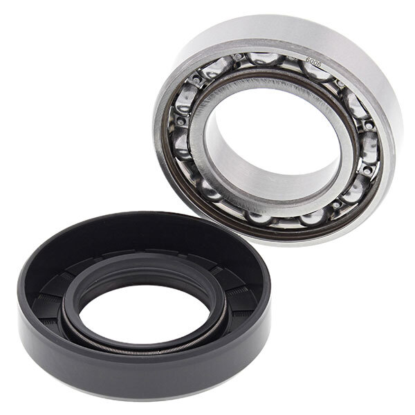 ALL BALLS WHEEL BEARING KIT (25 1715)