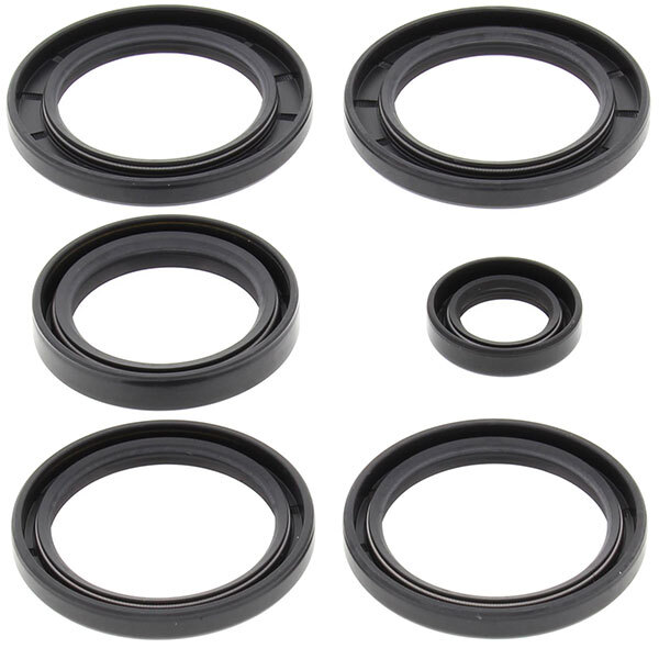 ALL BALLS DIFFERENTIAL SEAL KIT (25 2062 5)