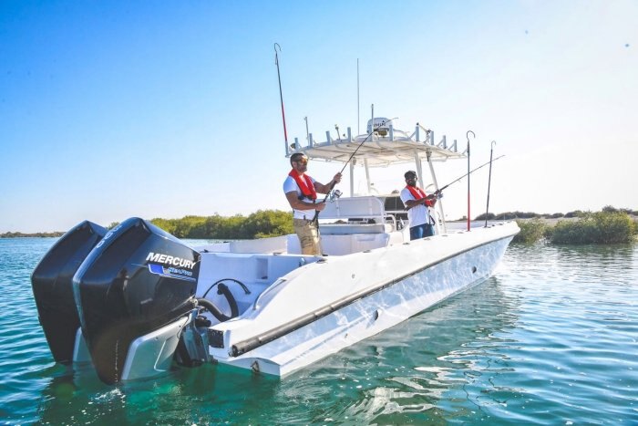 Mercury SeaPro 300hp AMS