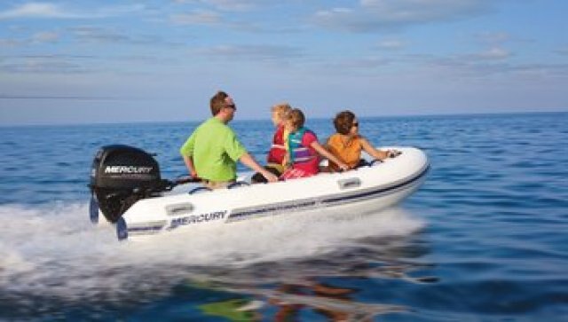 Mercury FourStroke 30 hp EFI 