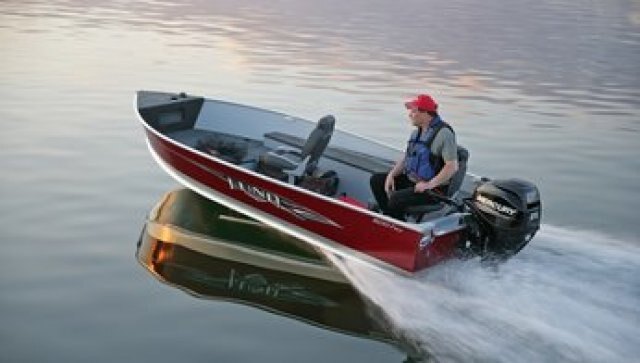 Mercury FourStroke 30 hp EFI 
