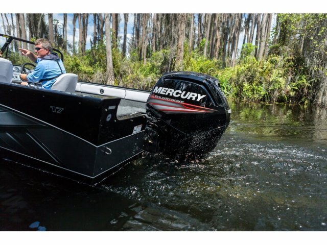 Mercury FourStroke 115 hp
