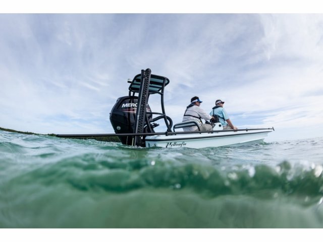 Mercury FourStroke 115 hp