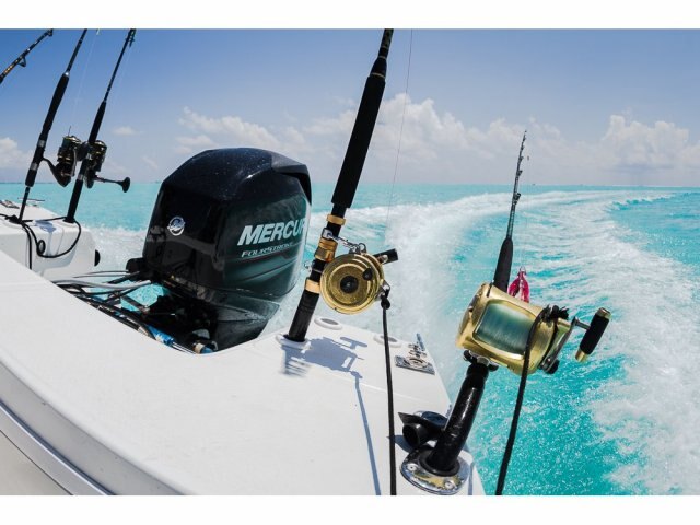 Mercury FourStroke 75 hp