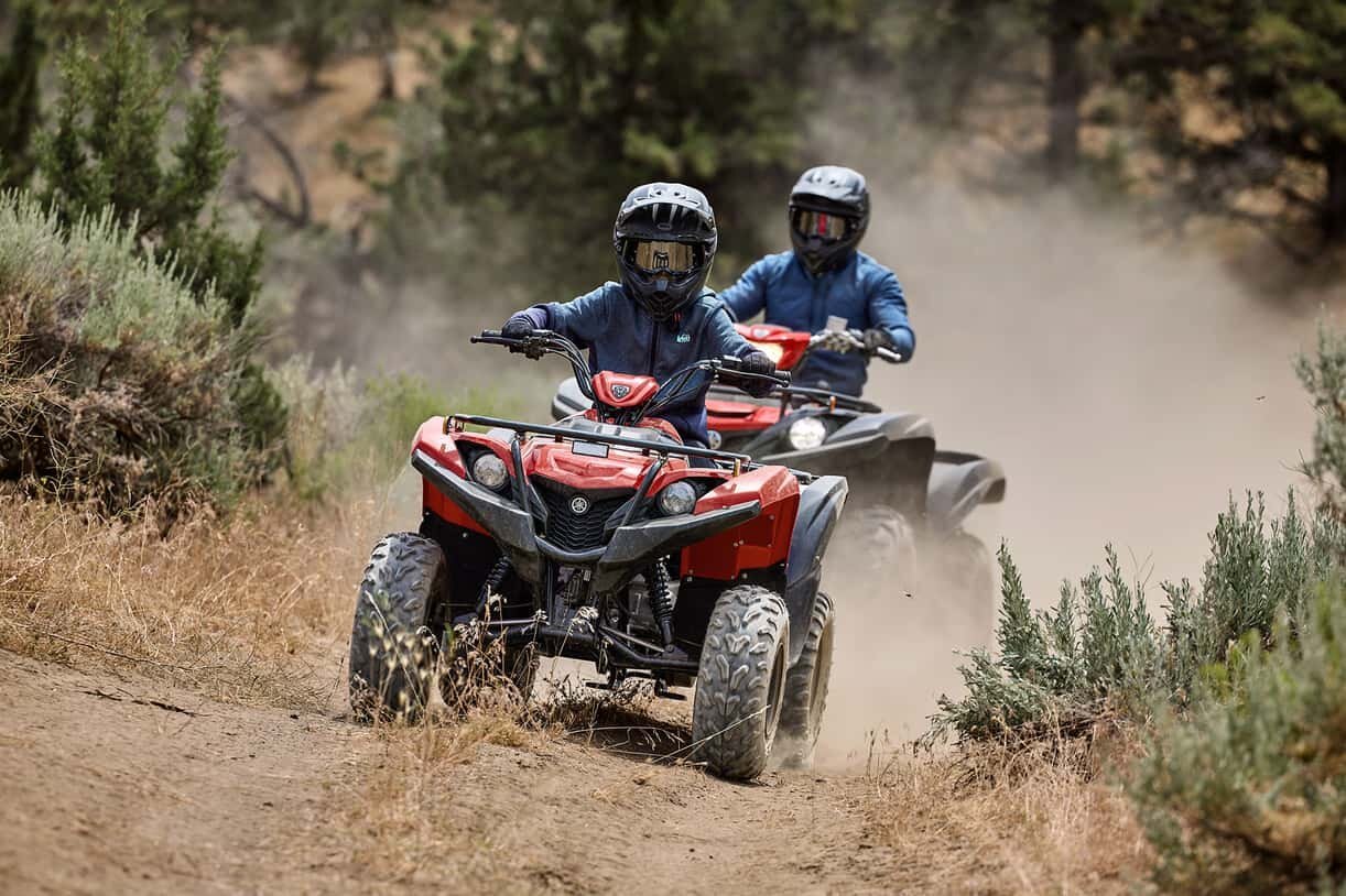 2025 Yamaha Grizzly 110 Grey Metallic/Red