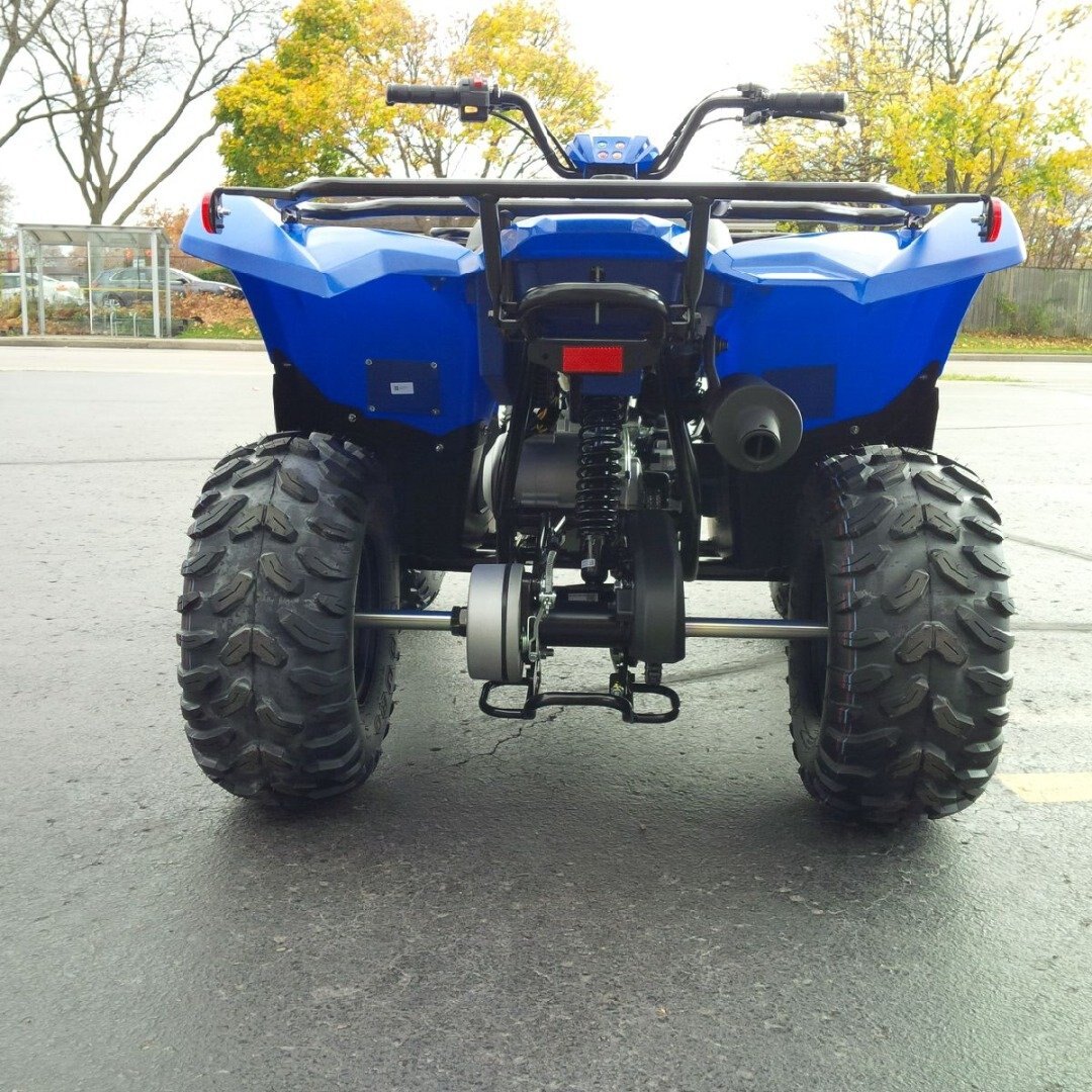 2025 Yamaha Grizzly 110 Yamaha Blue