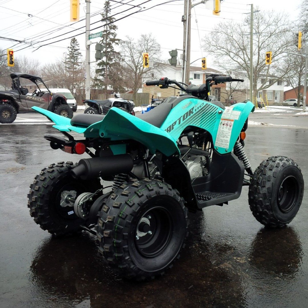 2025 Yamaha Raptor 110 Teal