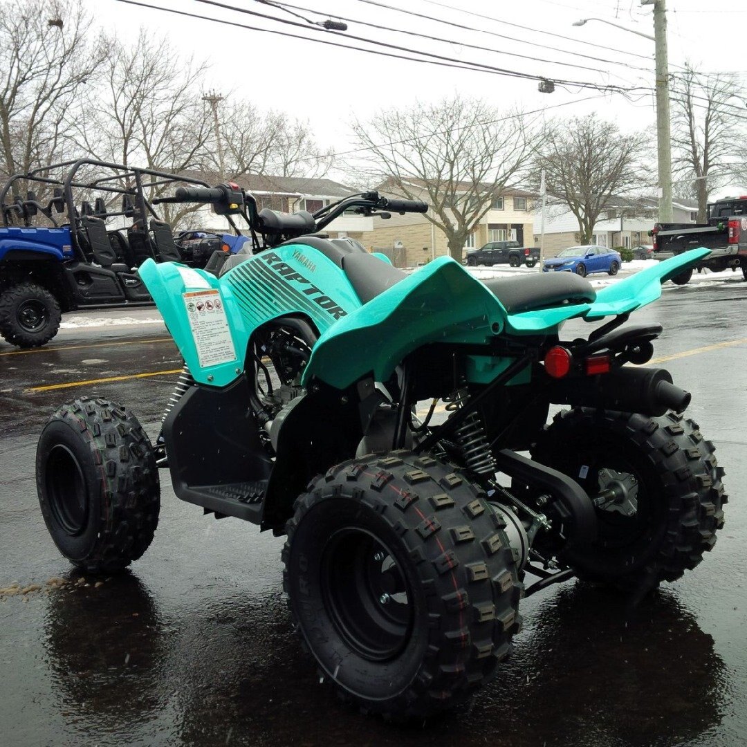 2025 Yamaha Raptor 110 Teal