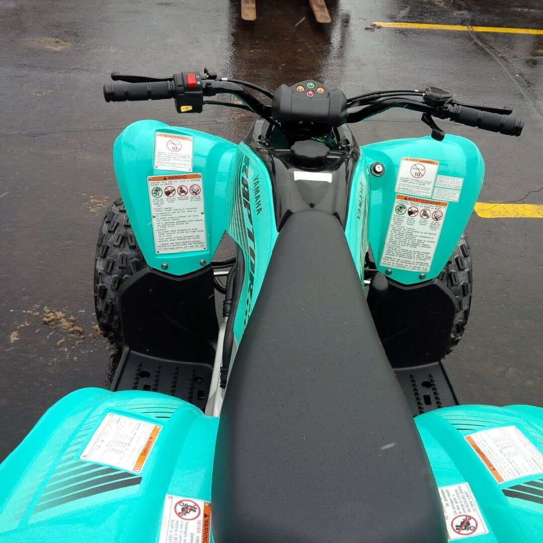 2025 Yamaha Raptor 110 Teal