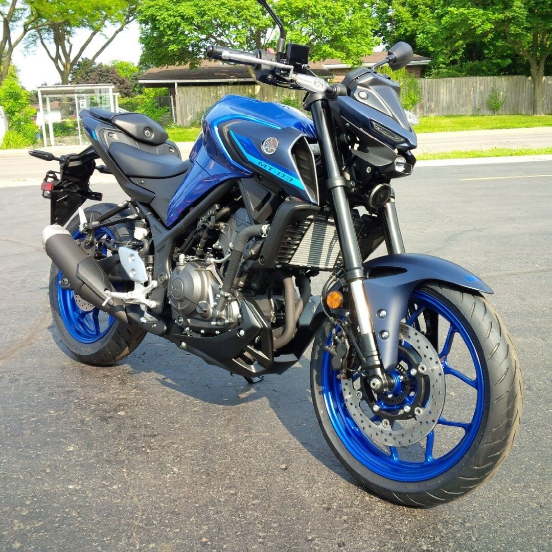 2025 Yamaha MT 03 Team Yamaha Blue