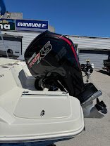 2019 Stingray 182 FISH/SKI | 115 Pro XS