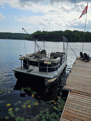 2013 Harris FloteBoote Cruise 200 | Mercury 50