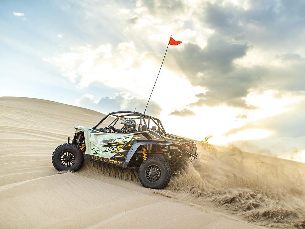 2024 Arctic Cat Wildcat XX