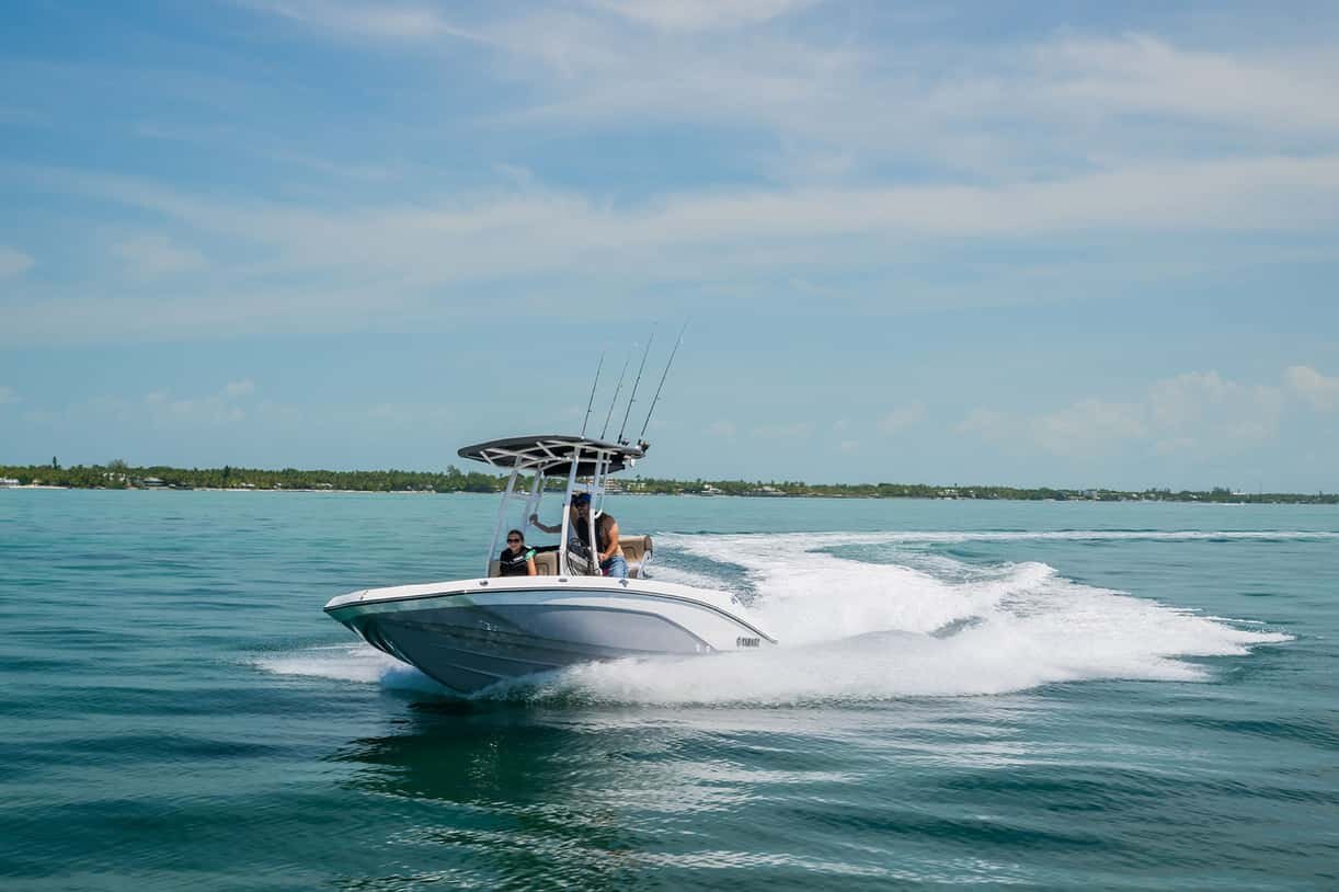 2027 Yamaha 195 FSH Sport Dolphin Grey