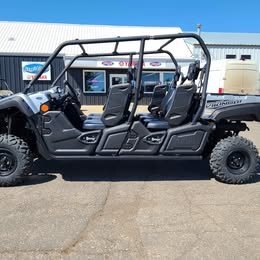 2024 Yamaha VIKING VI Terrys Special Edition Matte Silver