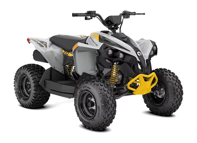 2026 Can Am Renegade 70 EFI Catalyst Grey