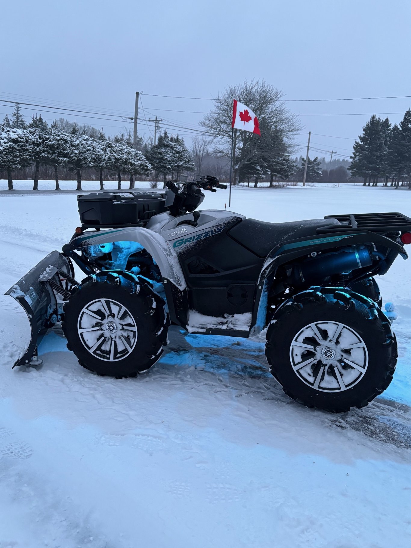 2024 Yamaha GRIZZLY 700 EPS SE - DEMO ACCESSORISED MODEL