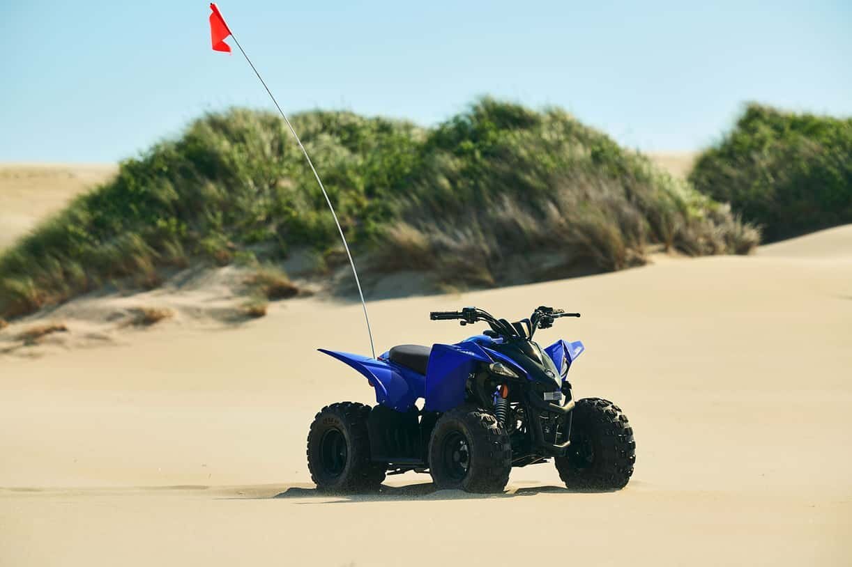 2025 Yamaha YFZ50