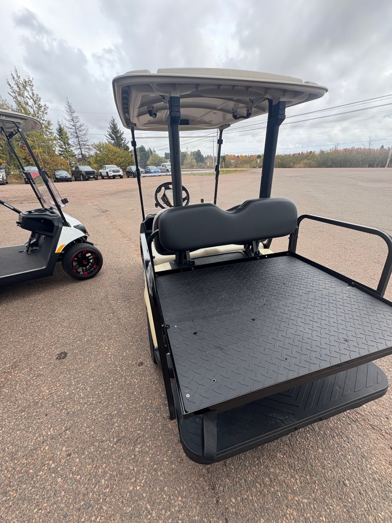 2021 Yamaha DRIVE² FLEET AC L 4 Seater with Charger