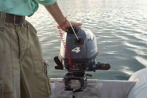 Yamaha F4LMHA Portable