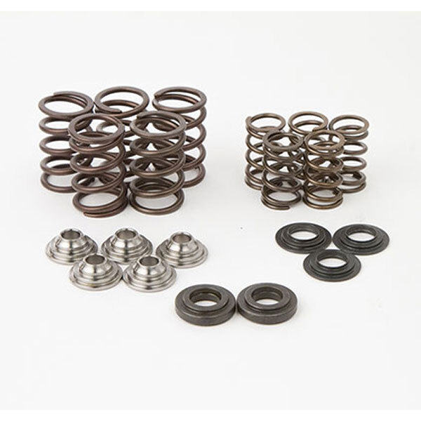 Hot Cams Valve Spring Kit (SKYFM660S2)