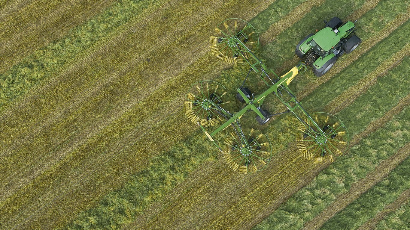 39048433 10