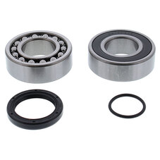 ALL BALLS CHAIN CASE BEARING & SEAL KIT (14-1072)