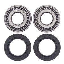 ALL BALLS WHEEL BEARING KIT (25-1001)