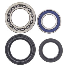 ALL BALLS WHEEL BEARING KIT (25-1012)