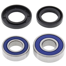 ALL BALLS WHEEL BEARING KIT (25-1060)