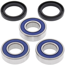 ALL BALLS WHEEL BEARING KIT (25-1243)