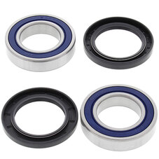 ALL BALLS WHEEL BEARING KIT (25-1313)