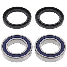 ALL BALLS WHEEL BEARING KIT (25-1329)