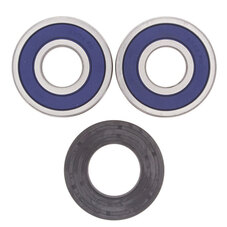 ALL BALLS WHEEL BEARING KIT (25-1353)