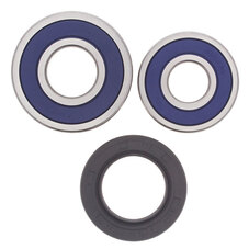 ALL BALLS WHEEL BEARING KIT (25-1361)