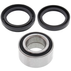 ALL BALLS WHEEL BEARING KIT (25-1434)