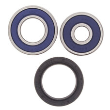 ALL BALLS WHEEL BEARING KIT (25-1589)