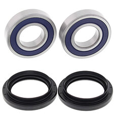 ALL BALLS WHEEL BEARING KIT (25-1693)