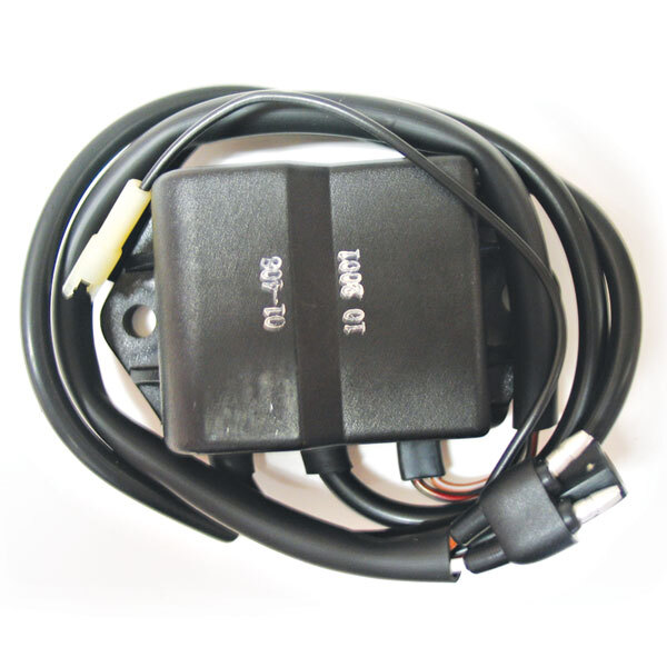 SPX CDI IGNITION BOX (01 408)