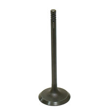 BRONCO ATV/UTV INTAKE VALVE (AU-09017I)