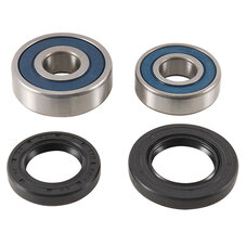 ALL BALLS WHEEL BEARING KIT (25-1791)