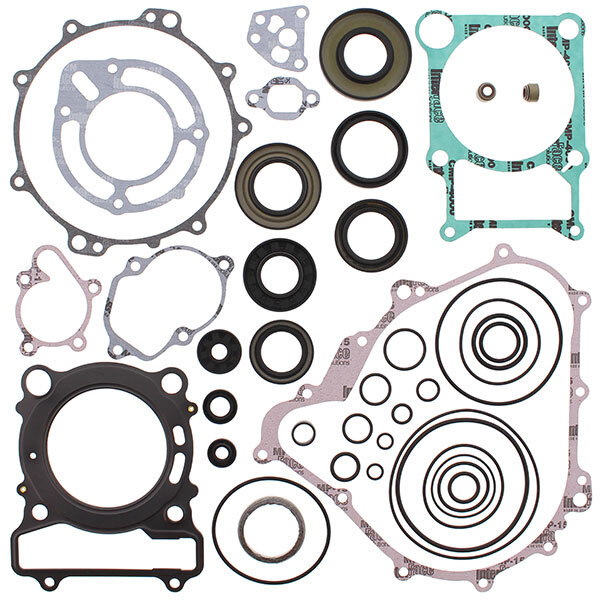 VERTEX GASKET SET & OIL SEALS (811875)