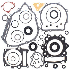 VERTEX GASKET SET & OIL SEALS (811941)