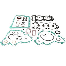 VERTEX GASKET SET & OIL SEALS (811970)