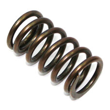 PSYCHIC INTAKE/EXHAUST VALVE SPRING (XU-09521S)