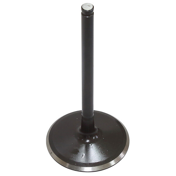 PSYCHIC INTAKE VALVE (XU 09563I)