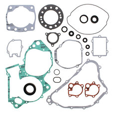 VERTEX GASKET SET & OIL SEALS (811261)