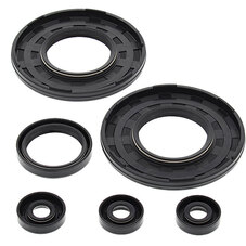 VERTEX ENGINE OIL SEAL KIT (55181)